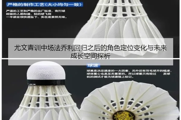 尤文青训中场法乔利回归之后的角色定位变化与未来成长空间探析